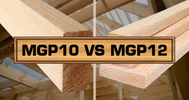 difference between mgp10 and mgp12