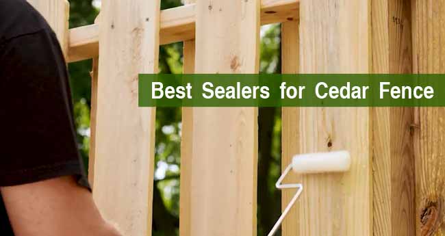 Best Sealers for Cedar Fence