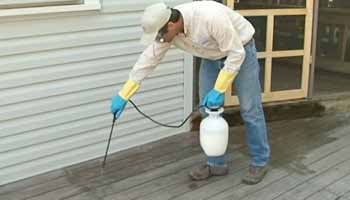 seal sprayer recommends